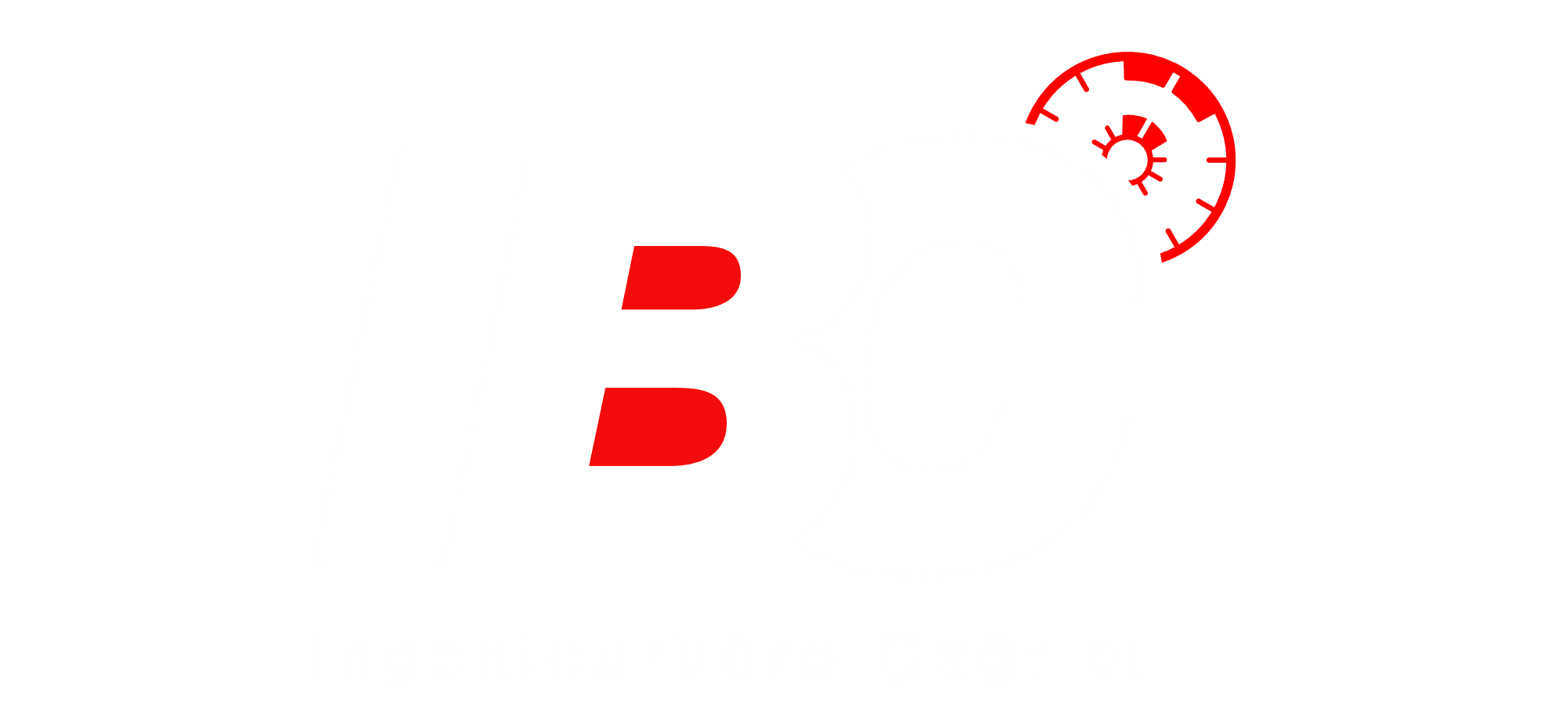 IBC Ingenieurbüro Çağrıcı